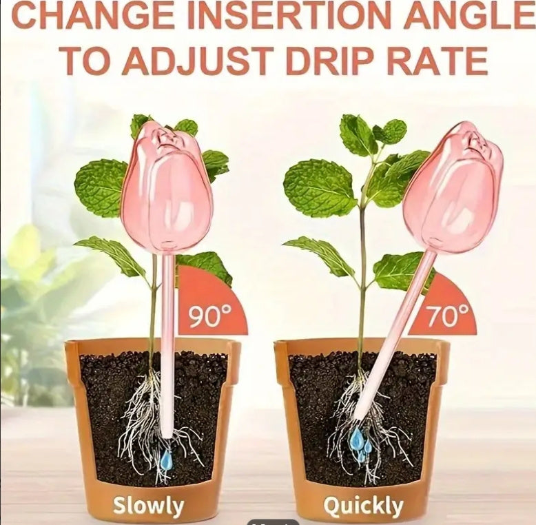Pink Tulip Plant Drippers