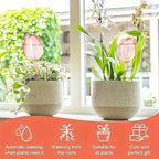 Pink Tulip Plant Drippers
