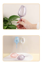 Pink Tulip Plant Drippers